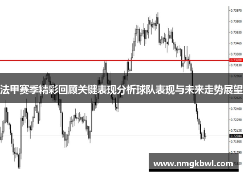 法甲赛季精彩回顾关键表现分析球队表现与未来走势展望