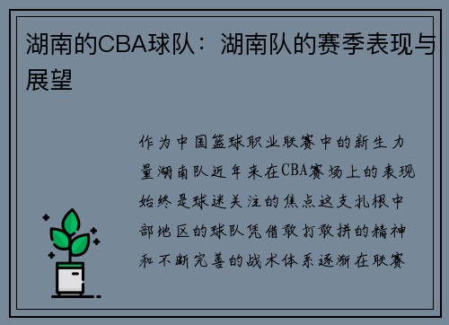 湖南的CBA球队：湖南队的赛季表现与展望