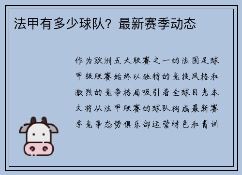 法甲有多少球队？最新赛季动态