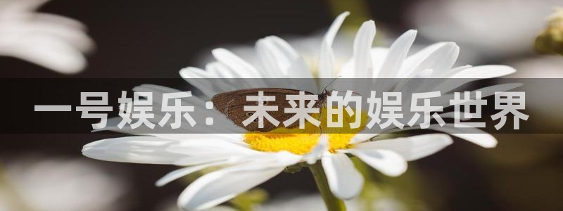upload/20250701114914.jpg
